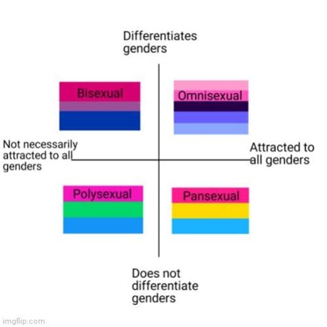 difference between bisexual and polysexual|Bi, Pan, Poly, Omni